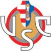 克雷莫纳青年队logo