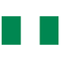 尼日利亚U17logo